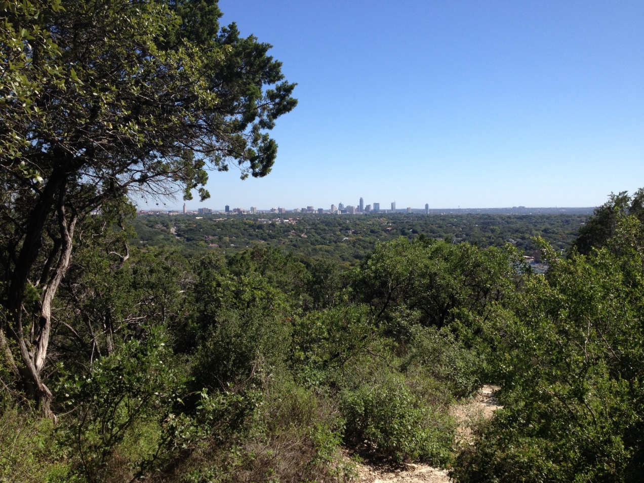 View of the Austin skyline at Mt. Bonnell